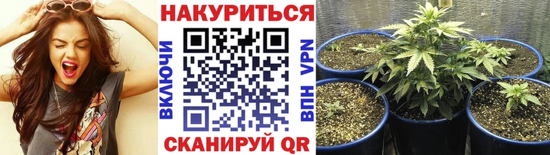 Каннабис White Widow Камышин
